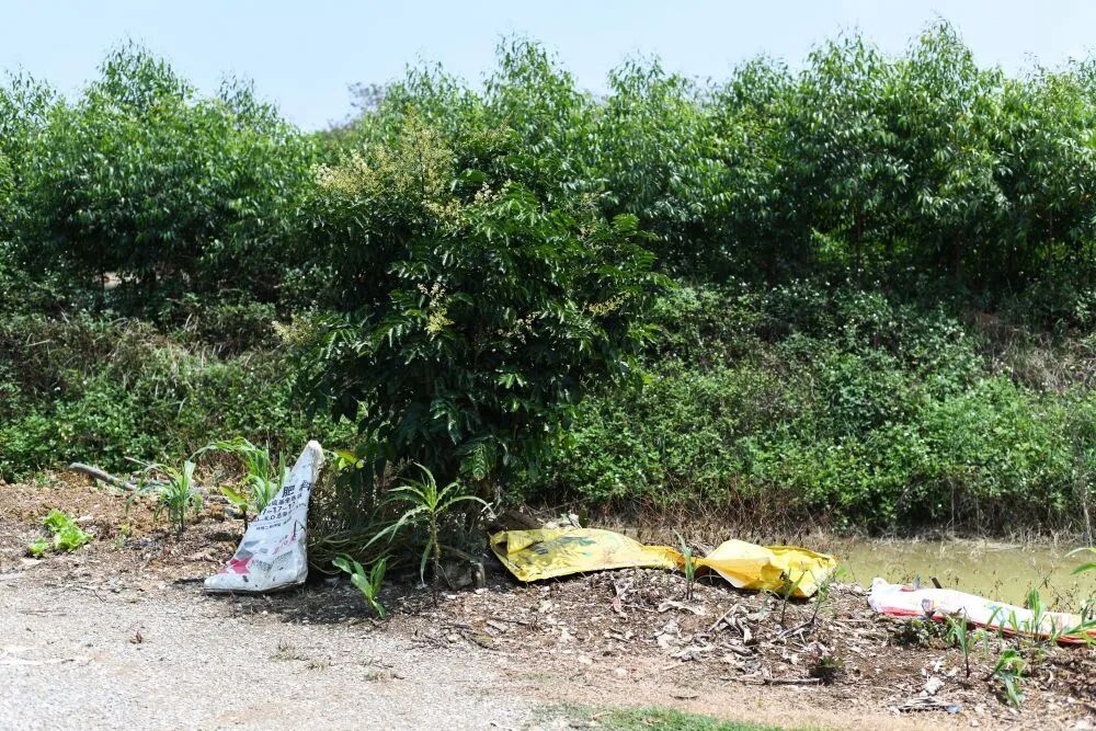 田间地头,为何变成“农资垃圾场”? 田间地头,为何变成“农资垃圾场”?