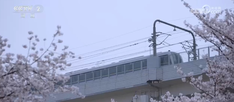 “流动的风景线”串联多元消费业态 “追花人”奔赴一场“春之约”