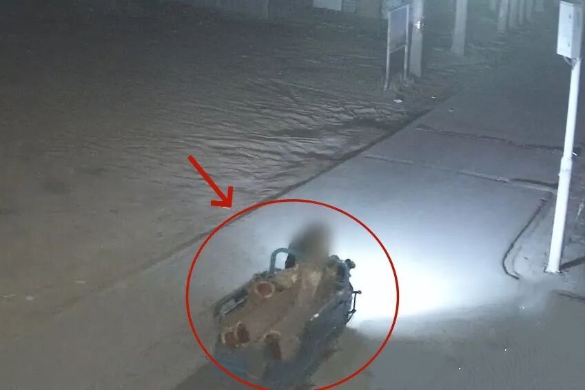 坟地偷树！天津警方：2人被抓！