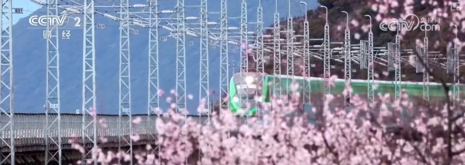 “流动的风景线”串联多元消费业态 “追花人”奔赴一场“春之约”