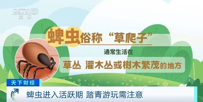 踏青游玩需注意！蜱虫进入活跃期，被叮咬后这个动作不要做