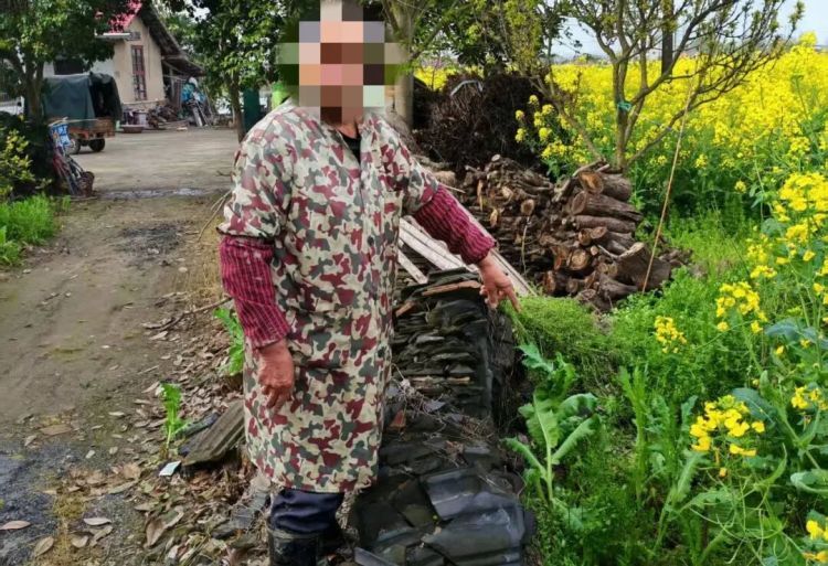 罂粟是“毒”不是“菜”，种植一株也违法！湖南安乡2人因种植罂粟被行政处罚