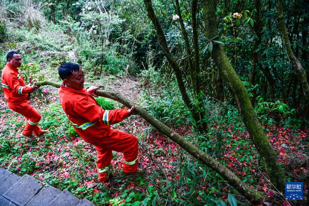 乌蒙深处的“护花使者”