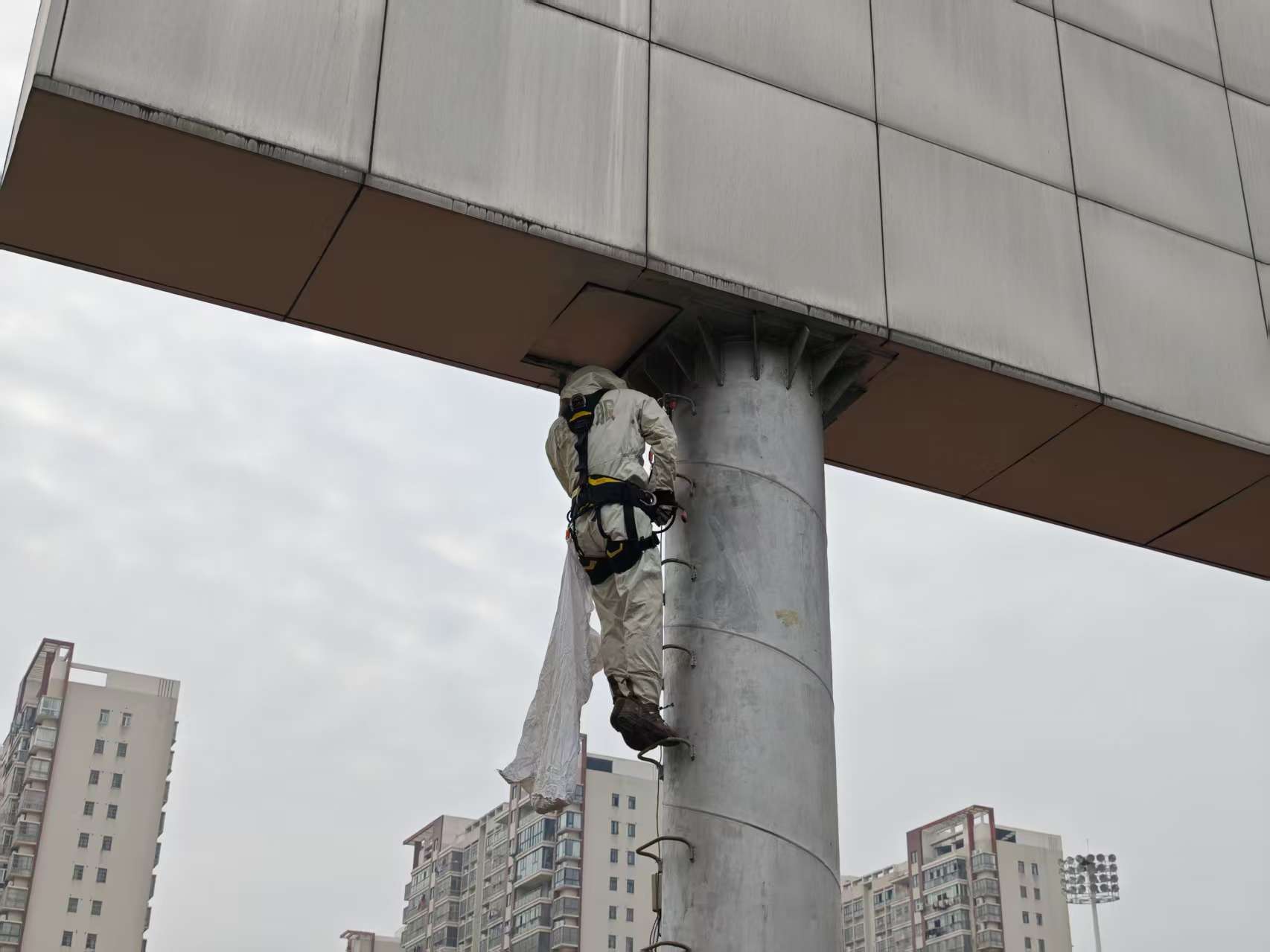 马蜂活跃进入高峰期,咸宁消防救援接警近百起 马蜂活跃进入高峰期,咸宁消防救援接警近百起