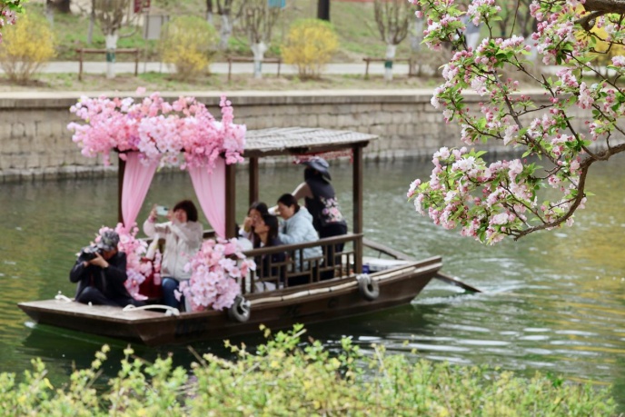 花开进度99%！北京四月的顶流是海棠花溪
