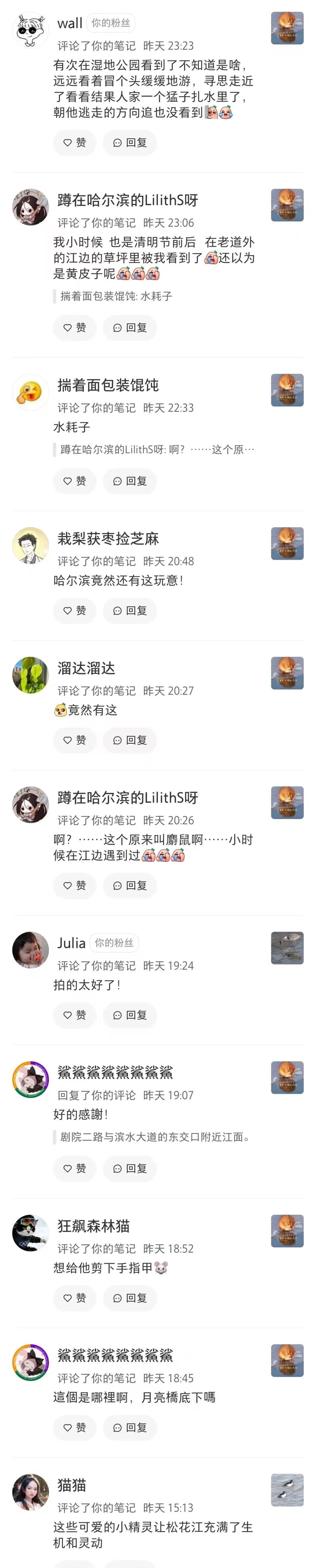 冰上洗脸超讲究!太阳岛外滩湿地“爱美”麝鼠圈粉无数 冰上洗脸超讲究!太阳岛外滩湿地“爱美”麝鼠圈粉无数