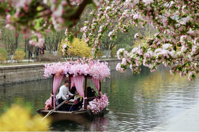 花开进度99%！北京四月的顶流是海棠花溪