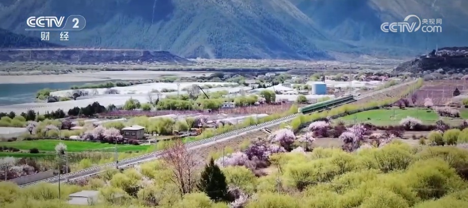 “流动的风景线”串联多元消费业态 “追花人”奔赴一场“春之约”