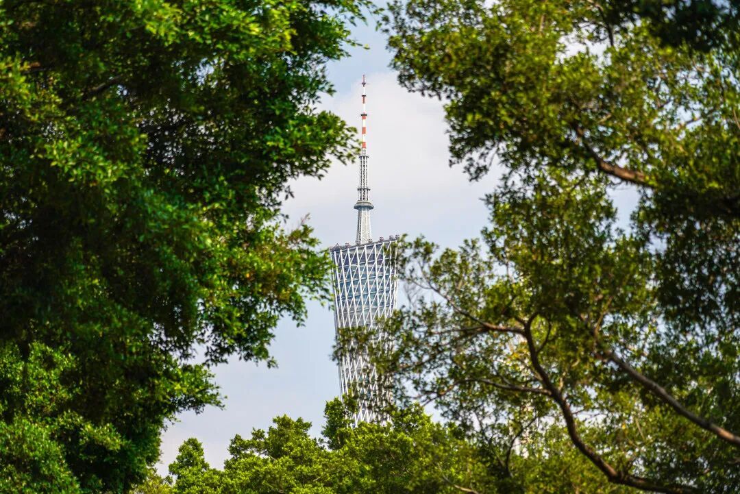 广州凉爽进入倒计时！