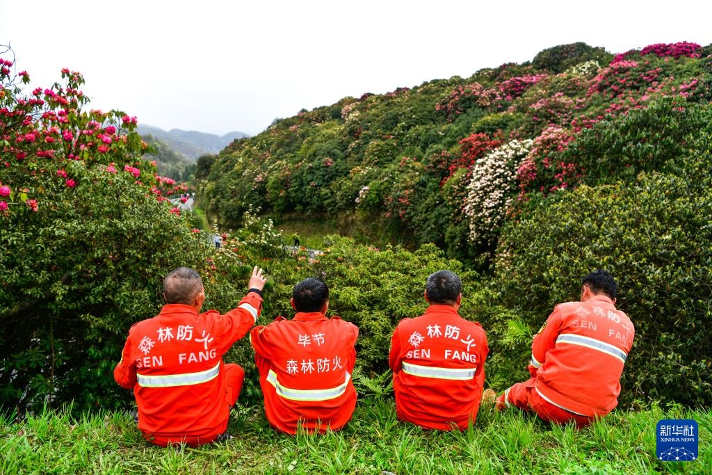 乌蒙深处的“护花使者”