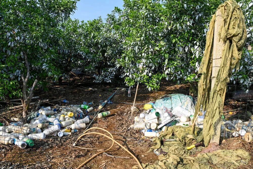 田间地头,为何变成“农资垃圾场”? 田间地头,为何变成“农资垃圾场”?