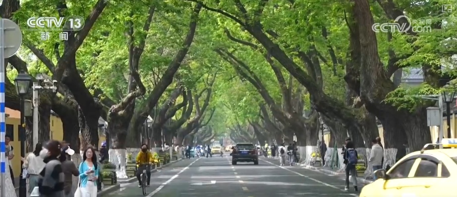 民生痛点“变身”城市亮点 找对“绣花针”让老街区与今天“握手” 民生痛点“变身”城市亮点 找对“绣花针”让老街区与今天“握手”
