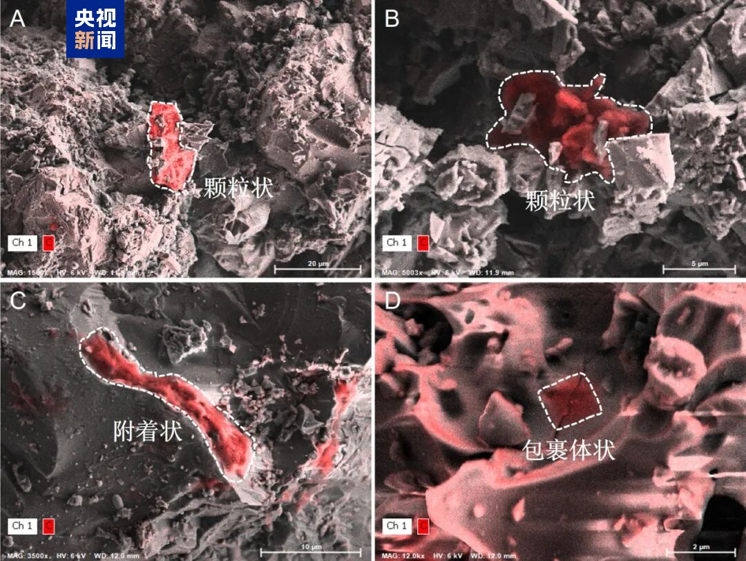 月壤“时间胶囊”揭示太阳系有机质演化史
