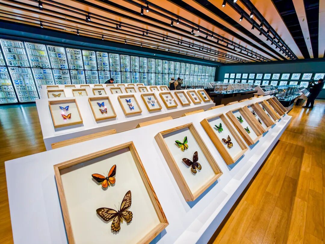 重磅！北京新添一博物馆，今日开馆——