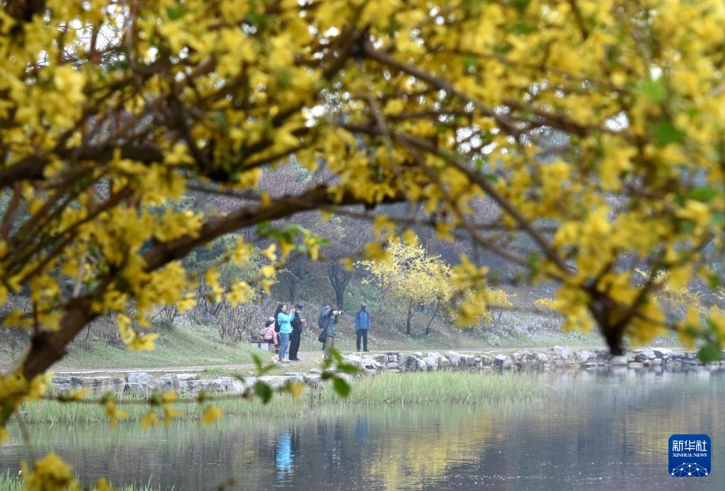 圆明园第三十一届踏青节开幕