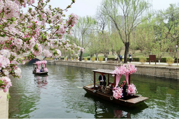 花开进度99%！北京四月的顶流是海棠花溪
