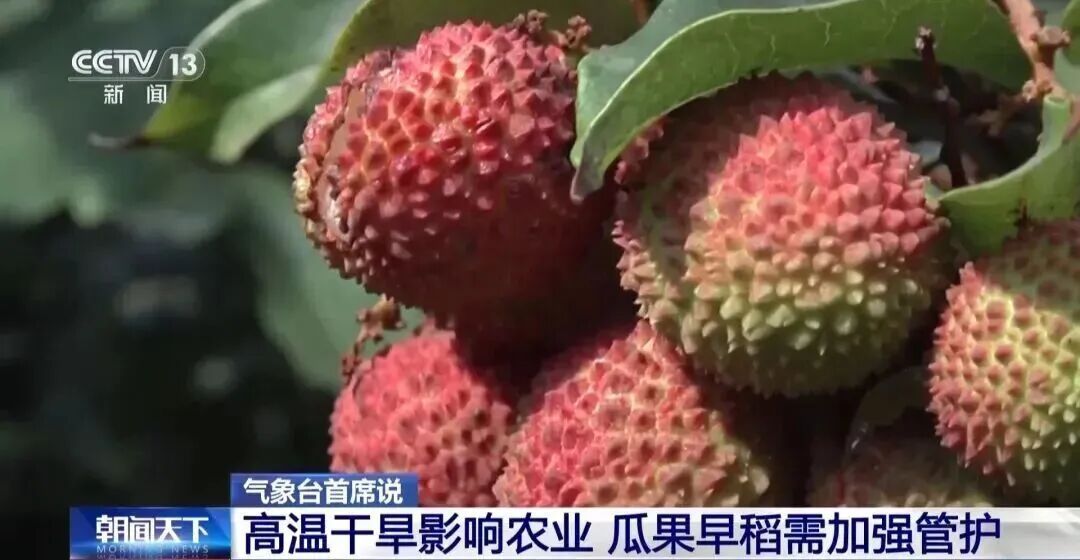 上海今天要冲30℃!一大早雷声隆隆,双预警高挂中!雨量可达中到大雨,出门带伞 上海今天要冲30℃!一大早雷声隆隆,双预警高挂中!雨量可达中到大雨,出门带伞