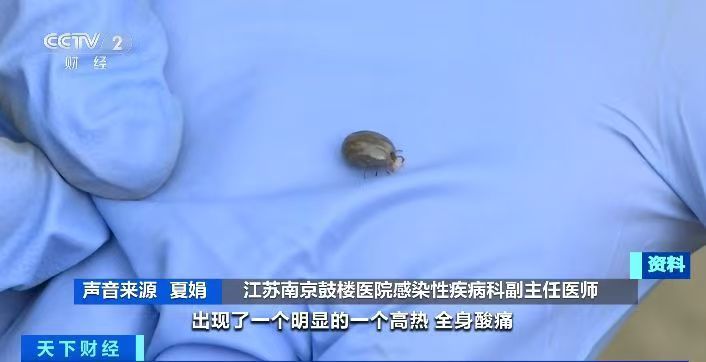 踏青游玩需注意！蜱虫进入活跃期，被叮咬后这个动作不要做