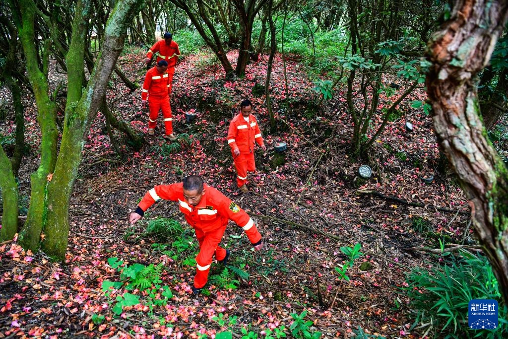 乌蒙深处的“护花使者”