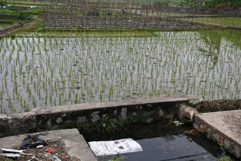 田间地头,为何变成“农资垃圾场”? 田间地头,为何变成“农资垃圾场”?