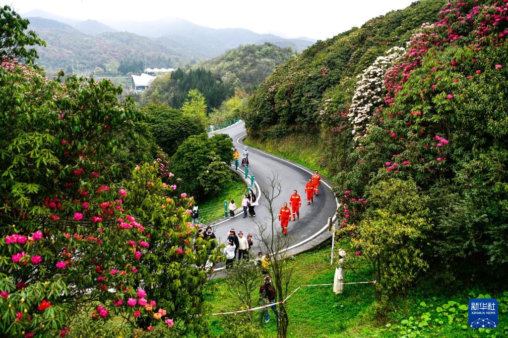 乌蒙深处的“护花使者”