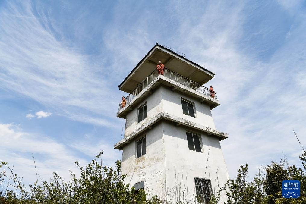 乌蒙深处的“护花使者”