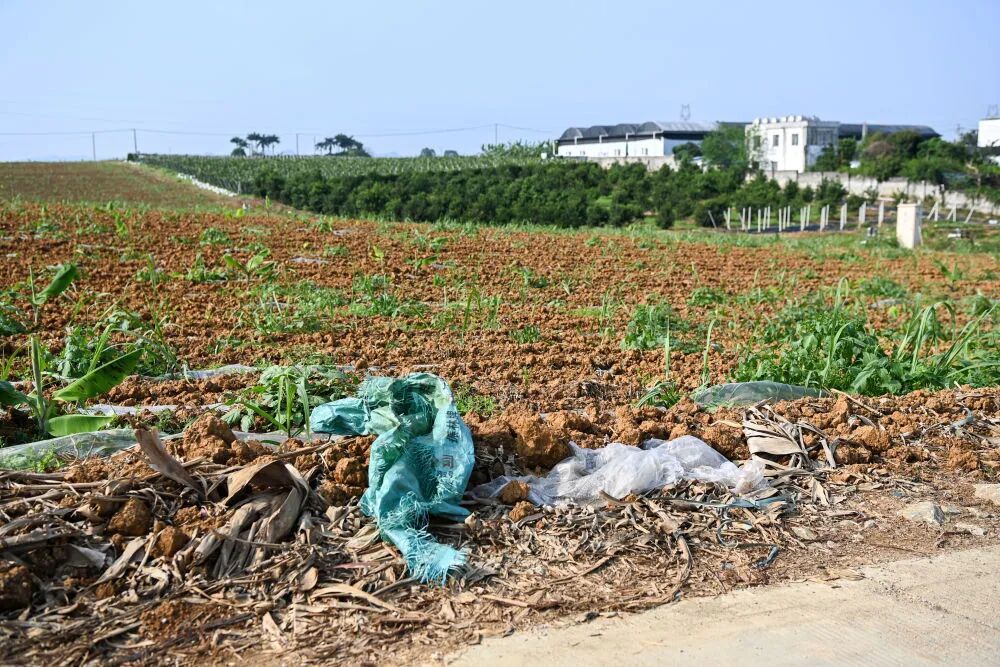 田间地头,为何变成“农资垃圾场”? 田间地头,为何变成“农资垃圾场”?
