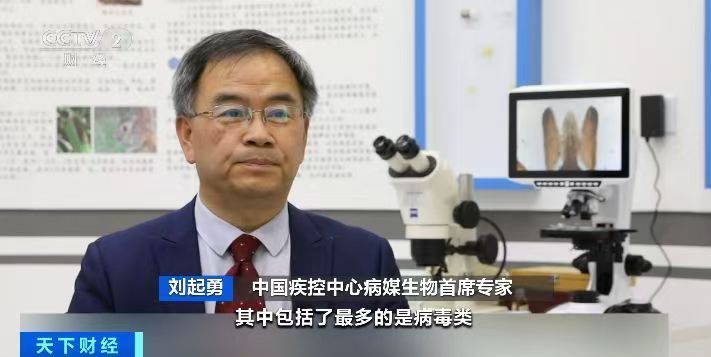 踏青游玩需注意！蜱虫进入活跃期，被叮咬后这个动作不要做