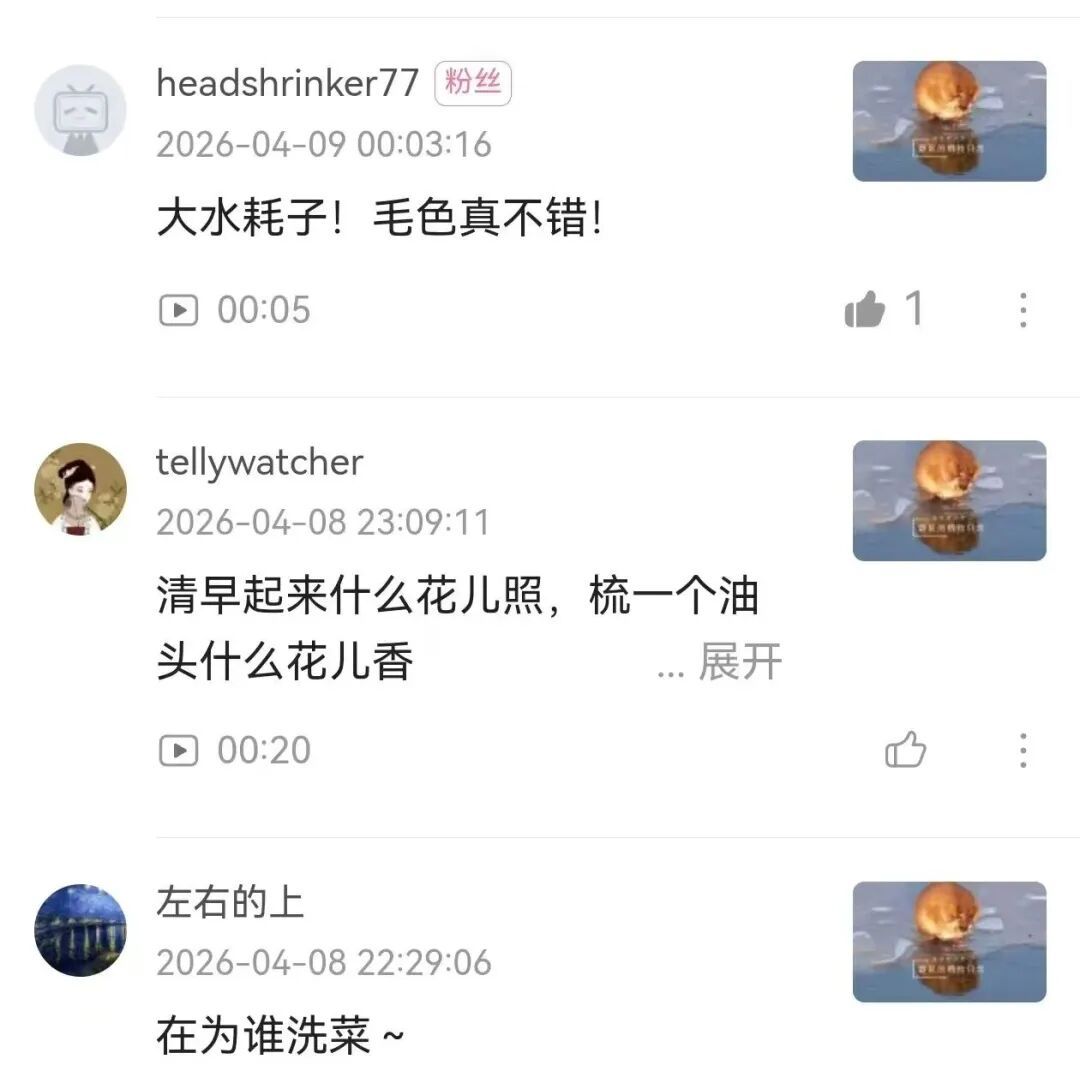 冰上洗脸超讲究!太阳岛外滩湿地“爱美”麝鼠圈粉无数 冰上洗脸超讲究!太阳岛外滩湿地“爱美”麝鼠圈粉无数