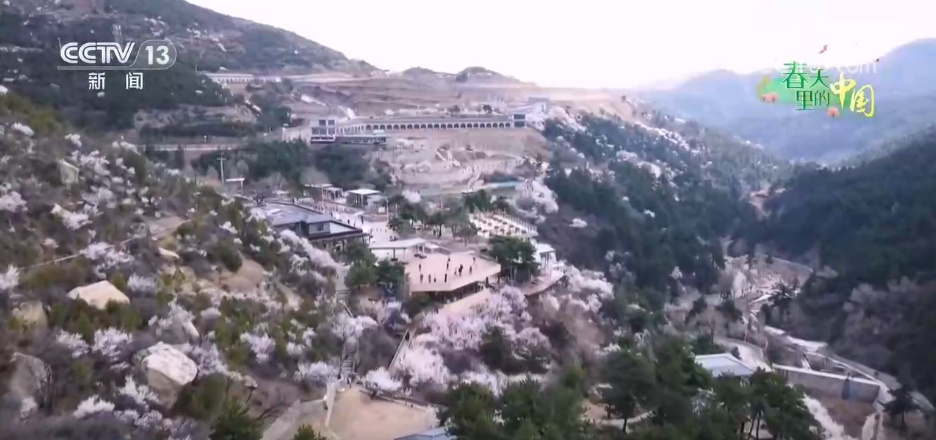 以花为媒解锁春日文旅多重体验 农文旅融合焕发乡村振兴蓬勃生机 以花为媒解锁春日文旅多重体验 农文旅融合焕发乡村振兴蓬勃生机