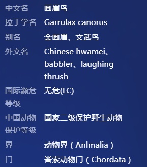 男子因饲养这种鸟被抓!海宁警方提醒:爱鸟要注意方法 男子因饲养这种鸟被抓!海宁警方提醒:爱鸟要注意方法