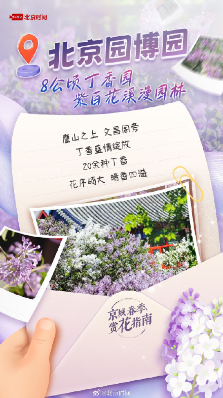 满城丁香已盛开，北京这几处花海别错过