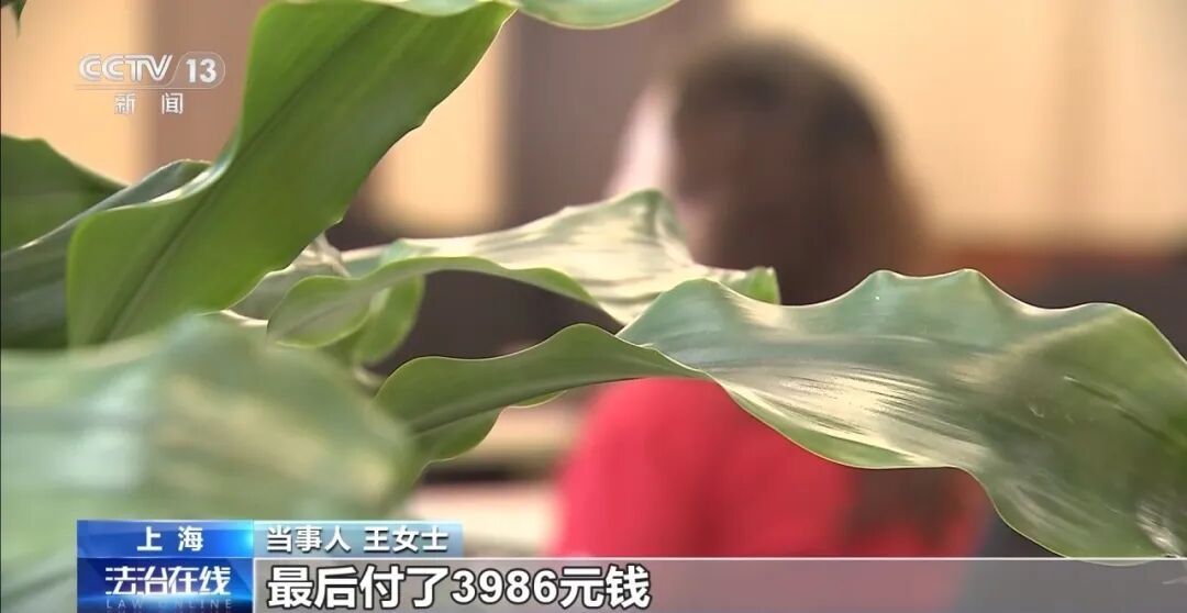 全是托儿！医院候诊被“病友”搭讪推荐“名医”？上海警方揭秘医诈流水线