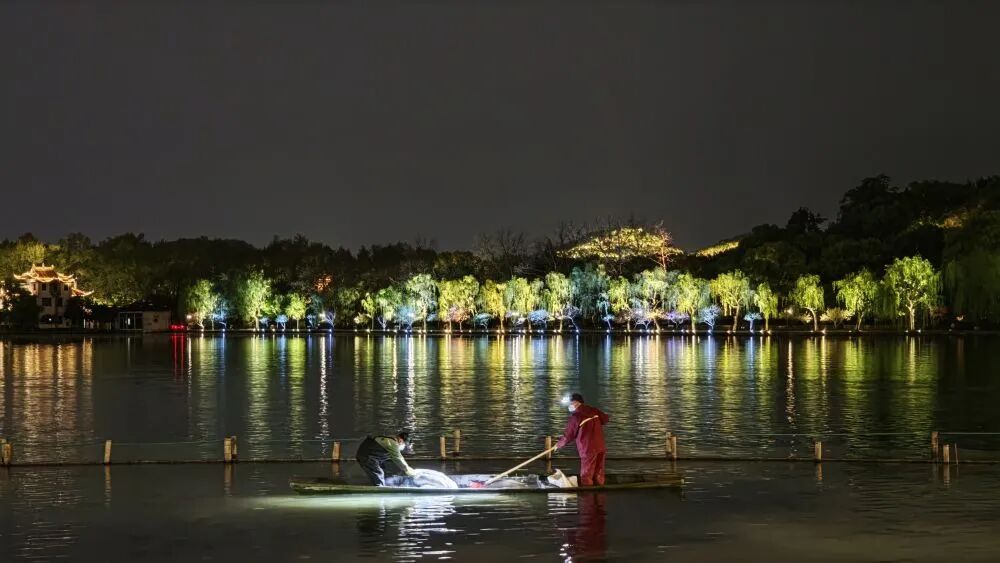 杭州回应“西湖连续一周撒7吨漂白粉”：清塘护荷，常规养护
