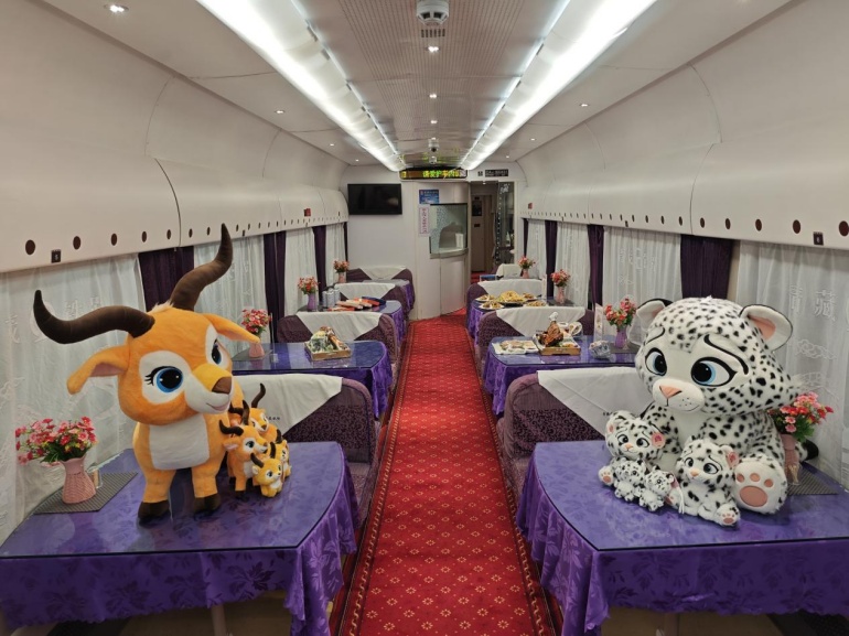 高原铁路开行今年首趟桃花节主题旅游专列 高原铁路开行今年首趟桃花节主题旅游专列