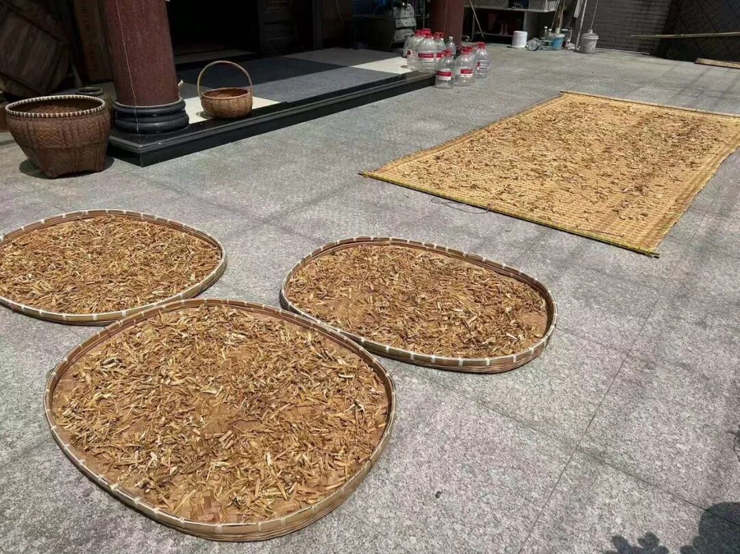 最近杭州很多人家都在忙这活!年轻人愁坏了:30一斤能卖给谁? 最近杭州很多人家都在忙这活!年轻人愁坏了:30一斤能卖给谁?