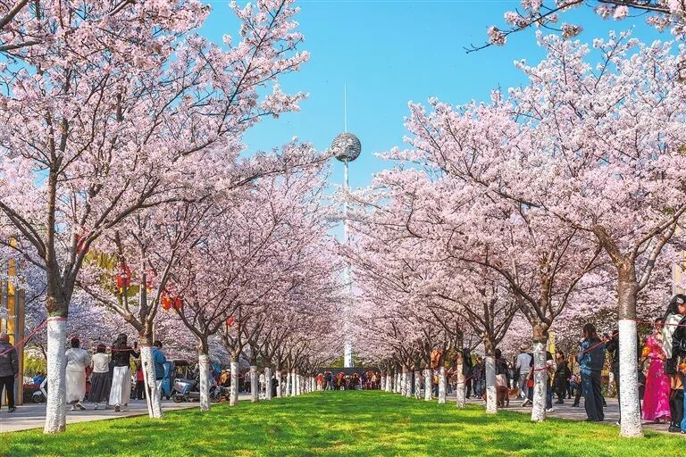 别让过敏偷走你的春天!这份“防敏攻略”请收好 别让过敏偷走你的春天!这份“防敏攻略”请收好