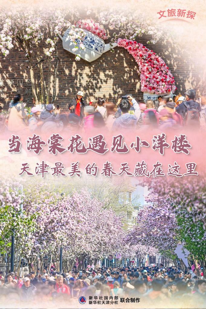 文旅新探|当海棠花遇见小洋楼，天津最美的春天藏在这里