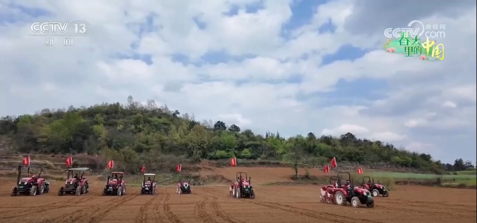 科技赋能耕出农业“科技范” 稳产夯基筑牢夏粮丰收“基本盘” 科技赋能耕出农业“科技范” 稳产夯基筑牢夏粮丰收“基本盘”