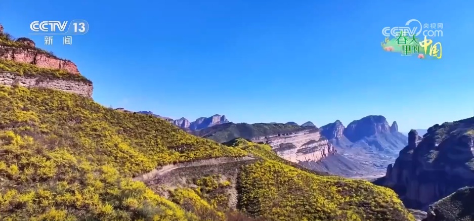 特色美景让村民在家门口吃上“旅游饭” 以花为媒串联乡村振兴产业链