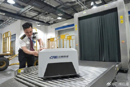 广州一猫咪体验单独坐高铁 广州一猫咪体验单独坐高铁