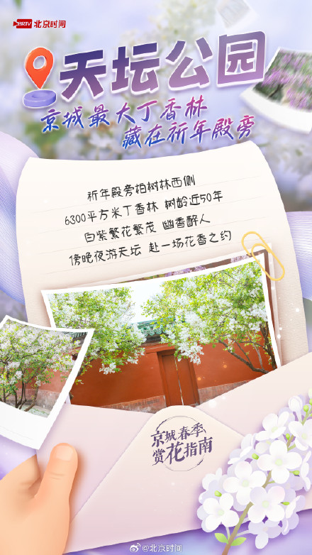 满城丁香已盛开，北京这几处花海别错过