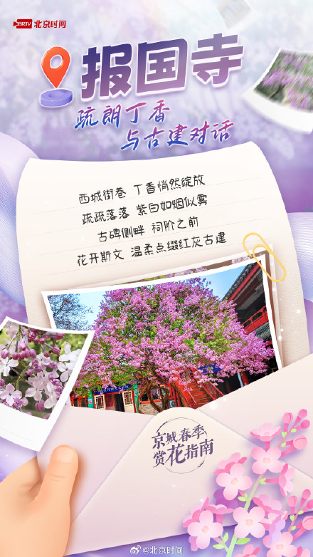 满城丁香已盛开，北京这几处花海别错过