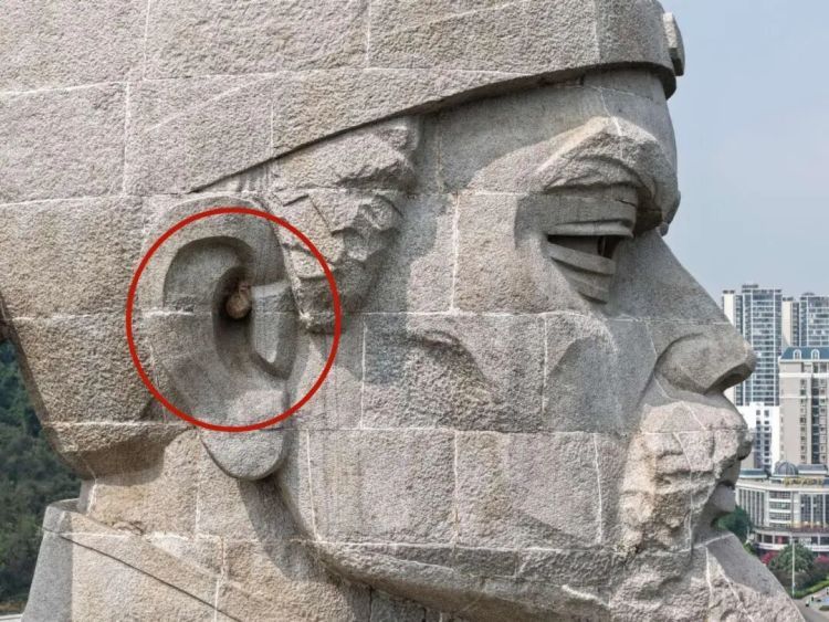 柳宗元雕像右耳现马蜂窝！消防看了却说：先不动它……