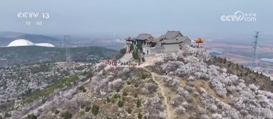 特色美景让村民在家门口吃上“旅游饭” 以花为媒串联乡村振兴产业链