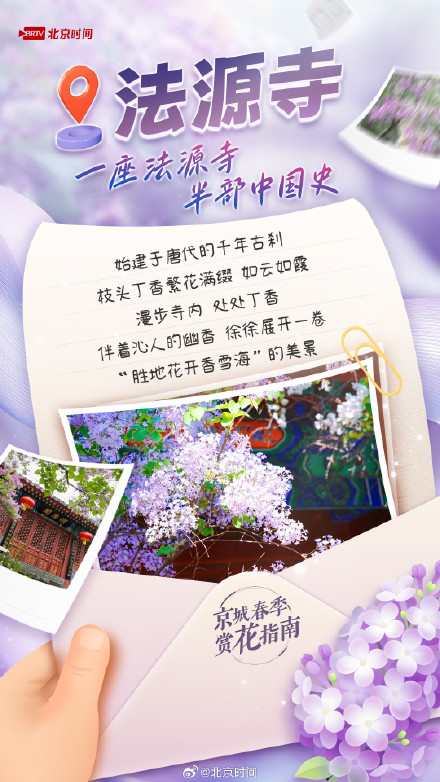 满城丁香已盛开，北京这几处花海别错过