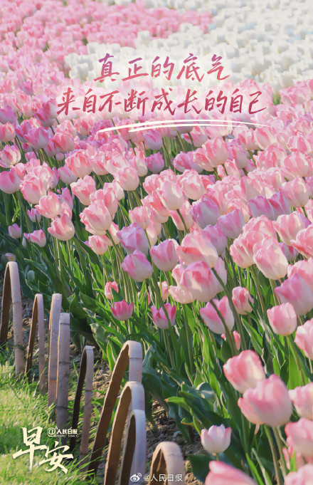 真正的底气来自不断成长的自己