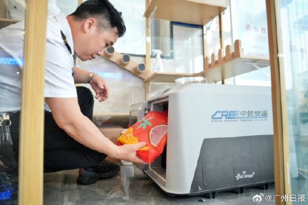 广州一猫咪体验单独坐高铁 广州一猫咪体验单独坐高铁