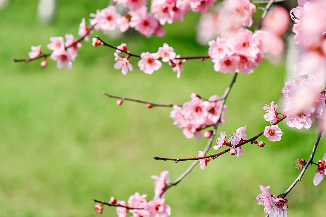 乍暖还寒别着急脱衣，正确“春捂”一文看懂