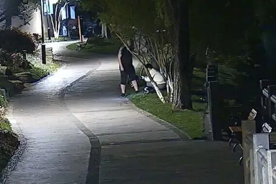 现实版“汪汪队”立大功!外卖小哥携爱犬救下溺水者 现实版“汪汪队”立大功!外卖小哥携爱犬救下溺水者